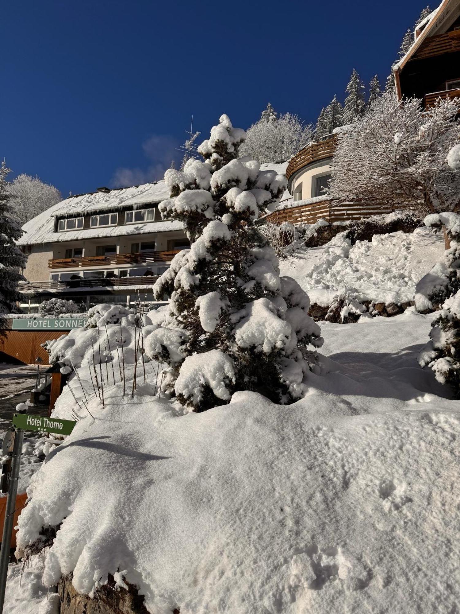 Hotel Sonnenberg Garni Hinterzarten Εξωτερικό φωτογραφία