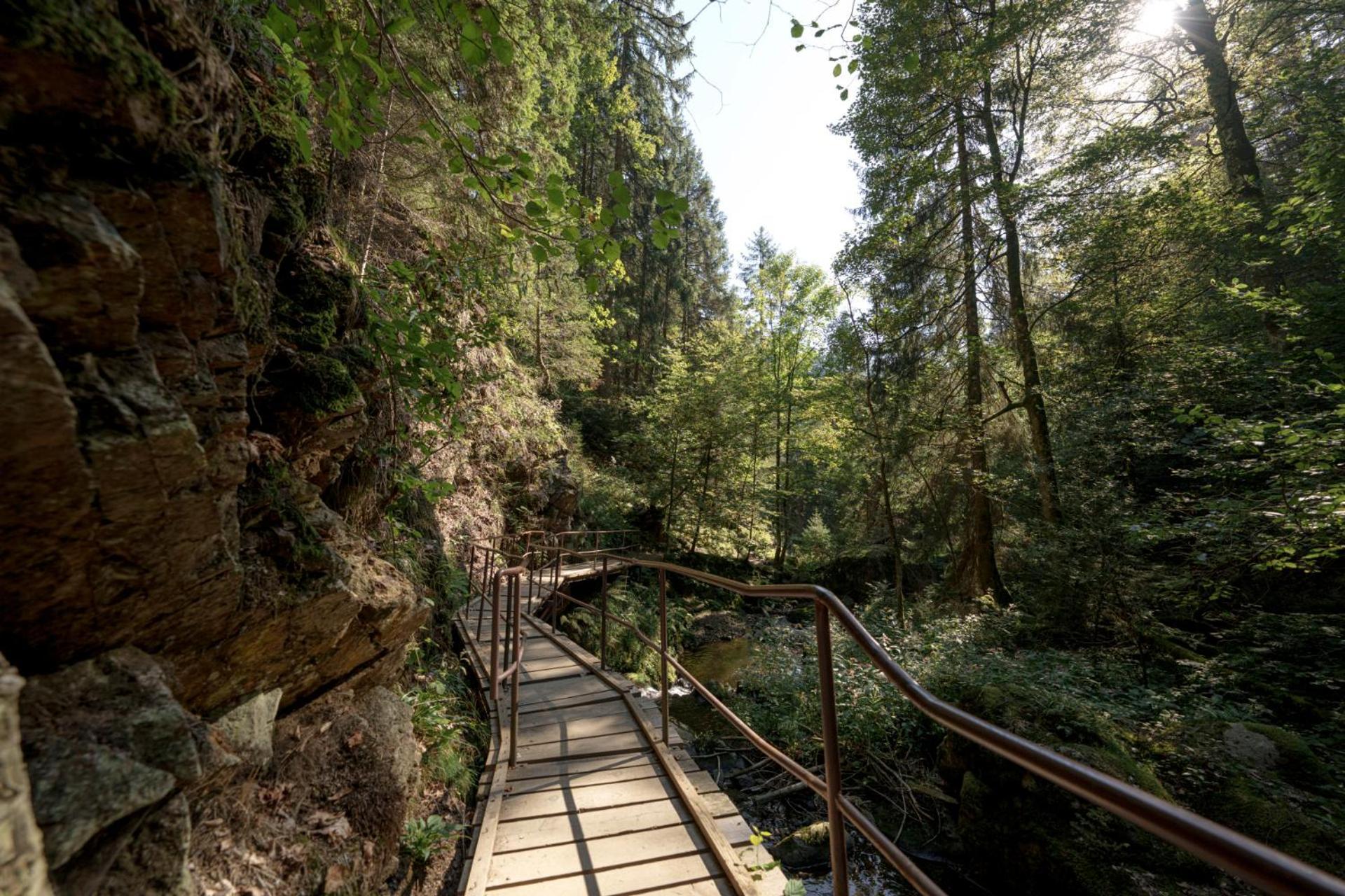 Hotel Sonnenberg Garni Hinterzarten Εξωτερικό φωτογραφία
